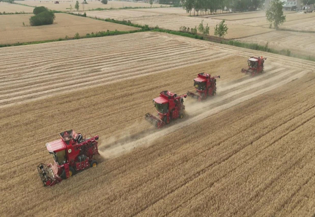 《宿州埇桥发布》5月28日报道：237.5万亩麦海涌金浪 万台农机抢收保归仓